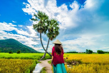 Koyu kırmızı ve yeşil renkli geleneksel kostüm giyen Vietnamlı kız sarı yeşil pirinç tarlasında yürüyen konik şapkalı ve iki palmiye ağacı olan Ba Den Dağı 'nın arka planında mavi gökyüzü. Seyahat kavramı.