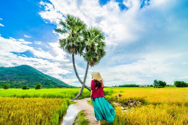 Koyu kırmızı ve yeşil renkli geleneksel kostüm giyen Vietnamlı kız sarı yeşil pirinç tarlasında yürüyen konik şapkalı ve iki palmiye ağacı olan Ba Den Dağı 'nın arka planında mavi gökyüzü. Seyahat kavramı.