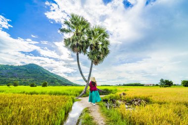 Koyu kırmızı ve yeşil renkli geleneksel kostüm giyen Vietnamlı kız sarı yeşil pirinç tarlasında yürüyen konik şapkalı ve iki palmiye ağacı olan Ba Den Dağı 'nın arka planında mavi gökyüzü. Seyahat kavramı.