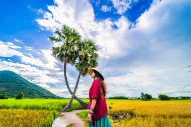 Koyu kırmızı ve yeşil renkli geleneksel kostüm giyen Vietnamlı kız sarı yeşil pirinç tarlasında yürüyen konik şapkalı ve iki palmiye ağacı olan Ba Den Dağı 'nın arka planında mavi gökyüzü. Seyahat kavramı.