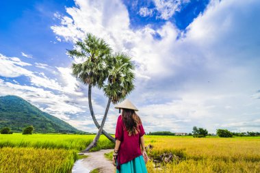 Koyu kırmızı ve yeşil renkli geleneksel kostüm giyen Vietnamlı kız sarı yeşil pirinç tarlasında yürüyen konik şapkalı ve iki palmiye ağacı olan Ba Den Dağı 'nın arka planında mavi gökyüzü. Seyahat kavramı.
