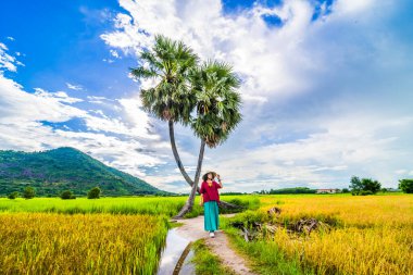 Koyu kırmızı ve yeşil renkli geleneksel kostüm giyen Vietnamlı kız sarı yeşil pirinç tarlasında yürüyen konik şapkalı ve iki palmiye ağacı olan Ba Den Dağı 'nın arka planında mavi gökyüzü. Seyahat kavramı.