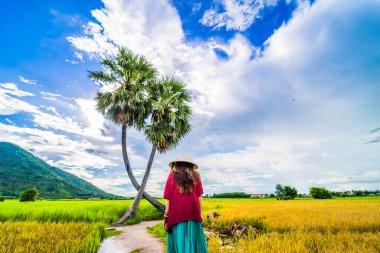 Koyu kırmızı ve yeşil renkli geleneksel kostüm giyen Vietnamlı kız sarı yeşil pirinç tarlasında yürüyen konik şapkalı ve iki palmiye ağacı olan Ba Den Dağı 'nın arka planında mavi gökyüzü. Seyahat kavramı.