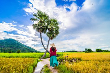 Koyu kırmızı ve yeşil renkli geleneksel kostüm giyen Vietnamlı kız sarı yeşil pirinç tarlasında yürüyen konik şapkalı ve iki palmiye ağacı olan Ba Den Dağı 'nın arka planında mavi gökyüzü. Seyahat kavramı.