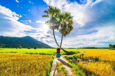 Koyu kırmızı ve yeşil renkli geleneksel kostüm giyen Vietnamlı kız sarı yeşil pirinç tarlasında yürüyen konik şapkalı ve iki palmiye ağacı olan Ba Den Dağı 'nın arka planında mavi gökyüzü. Seyahat kavramı.