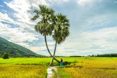 Koyu kırmızı ve yeşil renkli geleneksel kostüm giyen Vietnamlı kız sarı yeşil pirinç tarlasında yürüyen konik şapkalı ve iki palmiye ağacı olan Ba Den Dağı 'nın arka planında mavi gökyüzü. Seyahat kavramı.