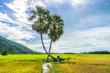 Koyu kırmızı ve yeşil renkli geleneksel kostüm giyen Vietnamlı kız sarı yeşil pirinç tarlasında yürüyen konik şapkalı ve iki palmiye ağacı olan Ba Den Dağı 'nın arka planında mavi gökyüzü. Seyahat kavramı.