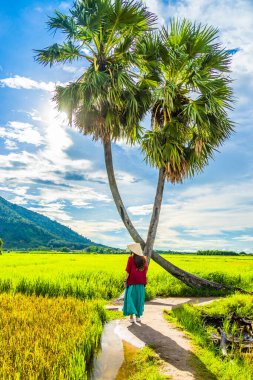 Koyu kırmızı ve yeşil renkli geleneksel kostüm giyen Vietnamlı kız sarı yeşil pirinç tarlasında yürüyen konik şapkalı ve iki palmiye ağacı olan Ba Den Dağı 'nın arka planında mavi gökyüzü. Seyahat kavramı.