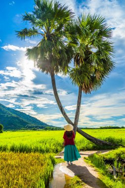 Koyu kırmızı ve yeşil renkli geleneksel kostüm giyen Vietnamlı kız sarı yeşil pirinç tarlasında yürüyen konik şapkalı ve iki palmiye ağacı olan Ba Den Dağı 'nın arka planında mavi gökyüzü. Seyahat kavramı.