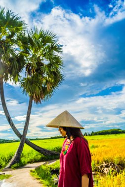 Koyu kırmızı ve yeşil renkli geleneksel kostüm giyen Vietnamlı kız sarı yeşil pirinç tarlasında yürüyen konik şapkalı ve iki palmiye ağacı olan Ba Den Dağı 'nın arka planında mavi gökyüzü. Seyahat kavramı.
