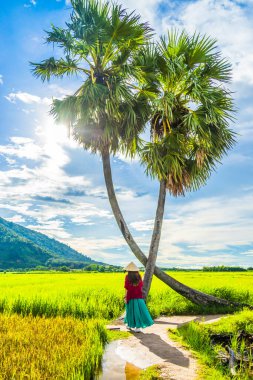 Koyu kırmızı ve yeşil renkli geleneksel kostüm giyen Vietnamlı kız sarı yeşil pirinç tarlasında yürüyen konik şapkalı ve iki palmiye ağacı olan Ba Den Dağı 'nın arka planında mavi gökyüzü. Seyahat kavramı.