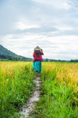 Koyu kırmızı ve yeşil renkli geleneksel kostüm giyen Vietnamlı kız. Sarı ve yeşil pirinç tarlasında yürüyen konik şapkalı. Seyahat kavramı.