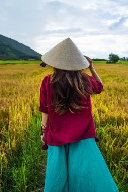 Koyu kırmızı ve yeşil renkli geleneksel kostüm giyen Vietnamlı kız. Sarı ve yeşil pirinç tarlasında yürüyen konik şapkalı. Seyahat kavramı.