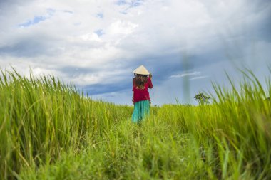 Koyu kırmızı ve yeşil renkli geleneksel kostüm giyen Vietnamlı kız. Sarı ve yeşil pirinç tarlasında yürüyen konik şapkalı. Seyahat kavramı.