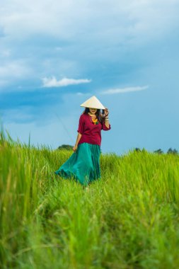Koyu kırmızı ve yeşil renkli geleneksel kostüm giyen Vietnamlı kız. Sarı ve yeşil pirinç tarlasında yürüyen konik şapkalı. Seyahat kavramı.