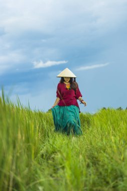 Koyu kırmızı ve yeşil renkli geleneksel kostüm giyen Vietnamlı kız. Sarı ve yeşil pirinç tarlasında yürüyen konik şapkalı. Seyahat kavramı.
