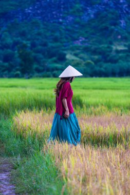 Koyu kırmızı ve yeşil renkli geleneksel kostüm giyen Vietnamlı kız. Sarı ve yeşil pirinç tarlasında yürüyen konik şapkalı. Seyahat kavramı.