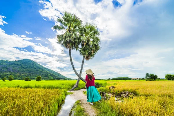 Menina Vietnamita Vermelho Escuro Garrafa Verde Traje Tradicional Vestido Com — Fotografia de Stock