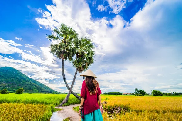 Koyu kırmızı ve yeşil renkli geleneksel kostüm giyen Vietnamlı kız sarı yeşil pirinç tarlasında yürüyen konik şapkalı ve iki palmiye ağacı olan Ba Den Dağı 'nın arka planında mavi gökyüzü. Seyahat kavramı.