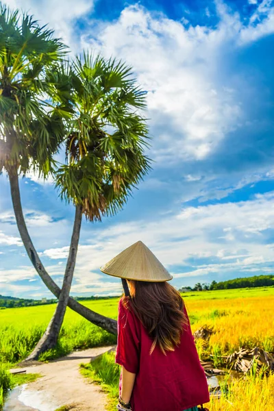 Menina Vietnamita Vermelho Escuro Garrafa Verde Traje Tradicional Vestido Com — Fotografia de Stock