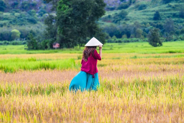 Menina Vietnamita Vermelho Escuro Garrafa Verde Traje Tradicional Vestido Com — Fotografia de Stock