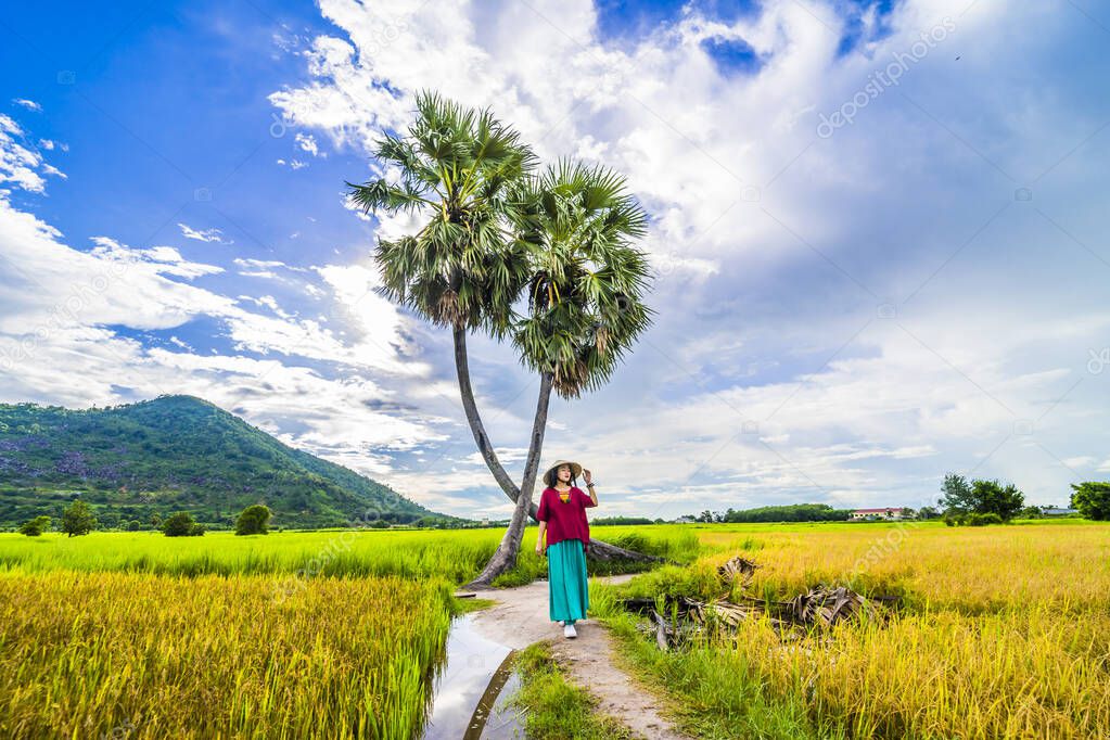 Vietnamese girl in dark red and bottle green traditional costume dress with conical hat walking on yellow green rice field and two palm trees, Ba Den mountain, blue sky in background. Travel concept.