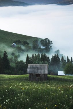 Yazın fırtınadan sonra vahşi doğada ters sisle çevrili küçük kulübenin güzel manzarası. Arka planda sis denizi olan yemyeşil otlakta kulübe, Bucovina, Avrupa