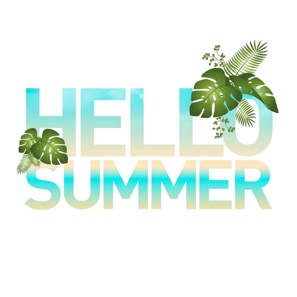 Hola Fondo Verano Con Hola Ilustración Vector Letras Verano — Archivo Imágenes Vectoriales