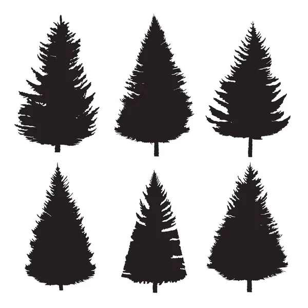 Ensemble Arbres Silhouettes Des Conifères Illustration Vectorielle Isolée Sur Fond — Image vectorielle