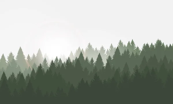 Erdő Háttér Tűlevelű Fák Vektoros Illusztráció Sunrise Táj — Stock Vector