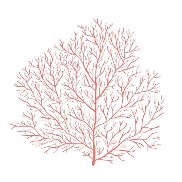 Silueta de coral marino. Ilustración vectorial — Archivo Imágenes Vectoriales