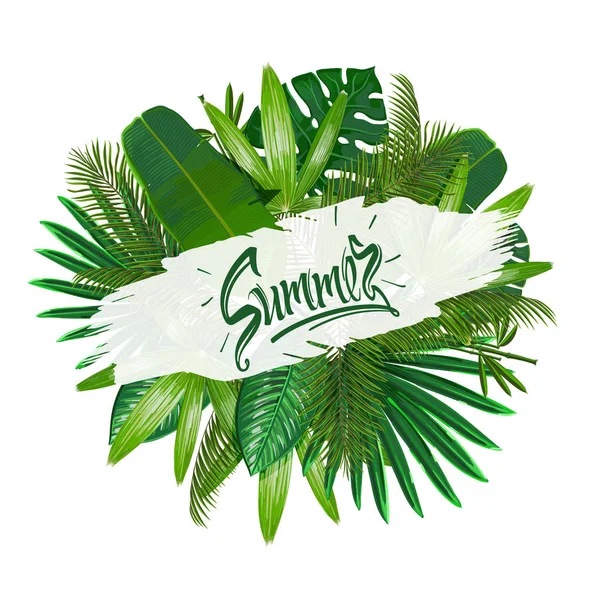 Tropical Leaves Sign Summer White Background Pattern Nature Vector Art Royalty Free Stock Illustrations