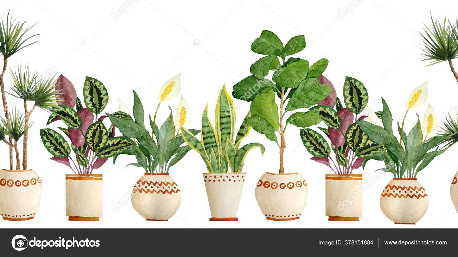 Jardin d'intérieur, bordure noire, plantes suspendues, plantes en pot,  peinture à l'aquarelle, solarium intérieur, aquarelle · Creative Fabrica