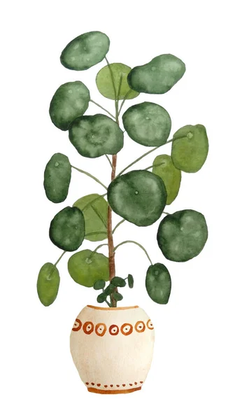 Watercolor hand drawn illustration of Pilea peperomioides known as chinese money plant pancake plant in brown beige clay terra cotta pot. For urban jungle nature lovers interior houseplants design. — Stock Photo, Image