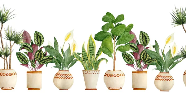 Watercolor hand drawn seamless horizontal border with houseplants in brown clay terra cotta pots. Potted sanseviera snake plant, calathea, pease lily Spathiphyllum,ficus fiddle leaf tree. Flowerpots — Stock Photo, Image