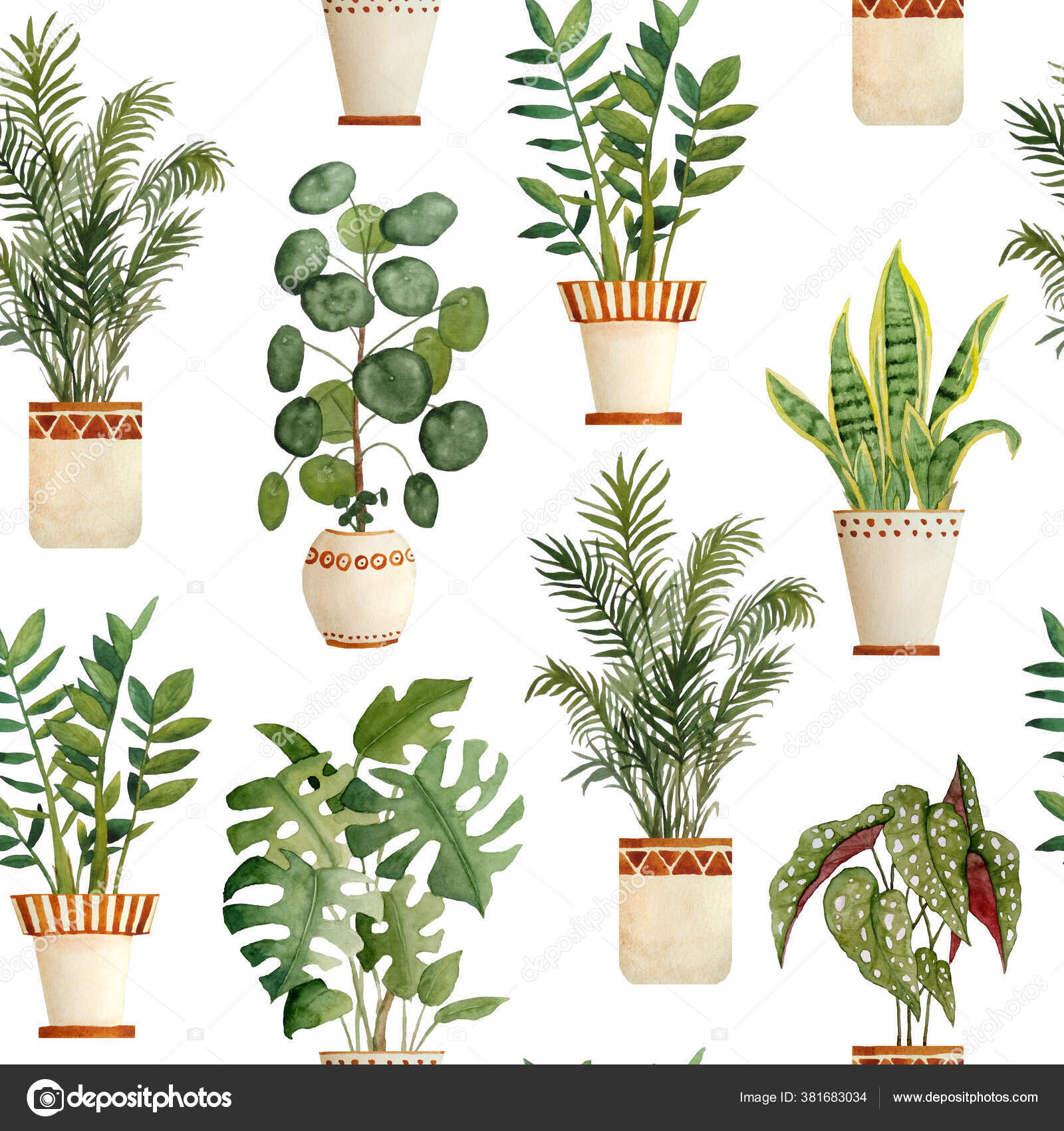 Aquarell handgezeichnete nahtlose Musterillustration mit Zimmerpflanzen in  braunen Terrakottatöpfen. Topfpflanze Sanseviera, Monstera, Pilea  Geldpflanze, Zamioculcas zz Baum. Blumentöpfe Stockillustration von  ©MarynaLagmar #381683034, image size:1600x1700