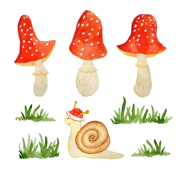 Watercolor hand drawn illustration elements set of amanita muscaria mushrooms with red caps in forest wood woodland green grass and funny cartoon snail. Children textile wallpaper. Nature natural — Stock Photo, Image