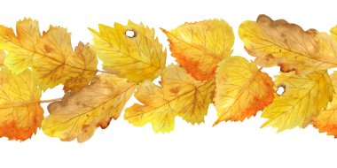 Sonbaharın kusursuz yatay sınırını çizen suluboya el şükran günü tasarımı için küçük elementler kahverengi yaban mersini yapraklarını turuncu sarı renkte çiziyor. Botanik doğası