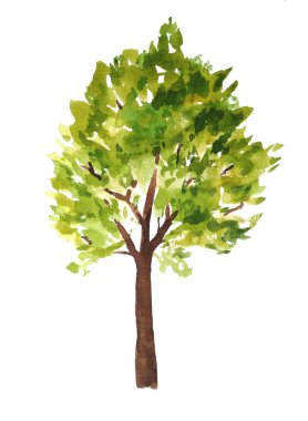 Yeşil yaz ağaçlarının suluboya resimlerini çizdim. Kahverengi gövdeli yemyeşil yapraklar. Boyalı peyzaj tasarım elementi. Eko ekolojik biyoloji çevre kavramı. Orman koruluğu için