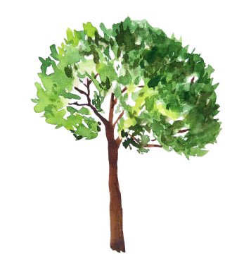 Yeşil yaz ağaçlarının suluboya resimlerini çizdim. Kahverengi gövdeli yemyeşil yapraklar. Boyalı peyzaj tasarım elementi. Eko ekolojik biyoloji çevre kavramı. Orman koruluğu için