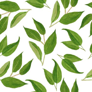Suluboya el, yeşil mandalina turunçgil yapraklı, pürüzsüz desenli çizim. Tekstil, ambalaj kağıdı ve duvar kağıdı için doğal organik zarif yeşillik tasarımı. Kırsal orman botanik yeşilliği
