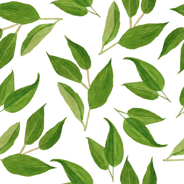 Illustrazione del modello senza cuciture disegnato a mano acquerello con foglie di agrumi mandarino verde. Design naturale organico elegante verde per tessile, carta da parati, carta da parati. Fogliame botanico forestale rustico — Foto Stock