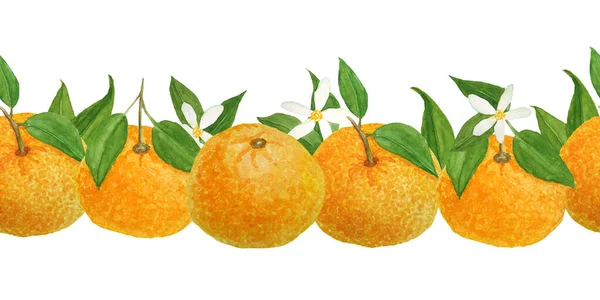 Acuarela dibujada a mano sin costuras borde horizontal ilustración de naranja brillante mandarina cítricos mandarina con vibrantes hojas verdes y flores. Para alimentos ecológicos etiquetas vegetarianas. Naturales —  Fotos de Stock