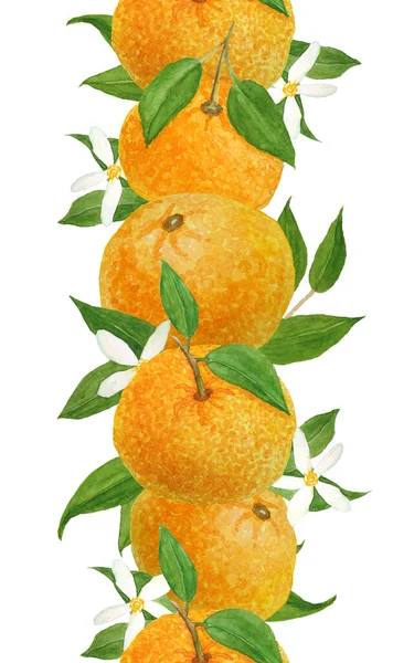 Acuarela dibujada a mano sin costuras borde vertical ilustración de naranja brillante mandarina cítricos mandarina con vibrantes hojas verdes y flores. Para alimentos ecológicos etiquetas vegetarianas. Diseño natural —  Fotos de Stock