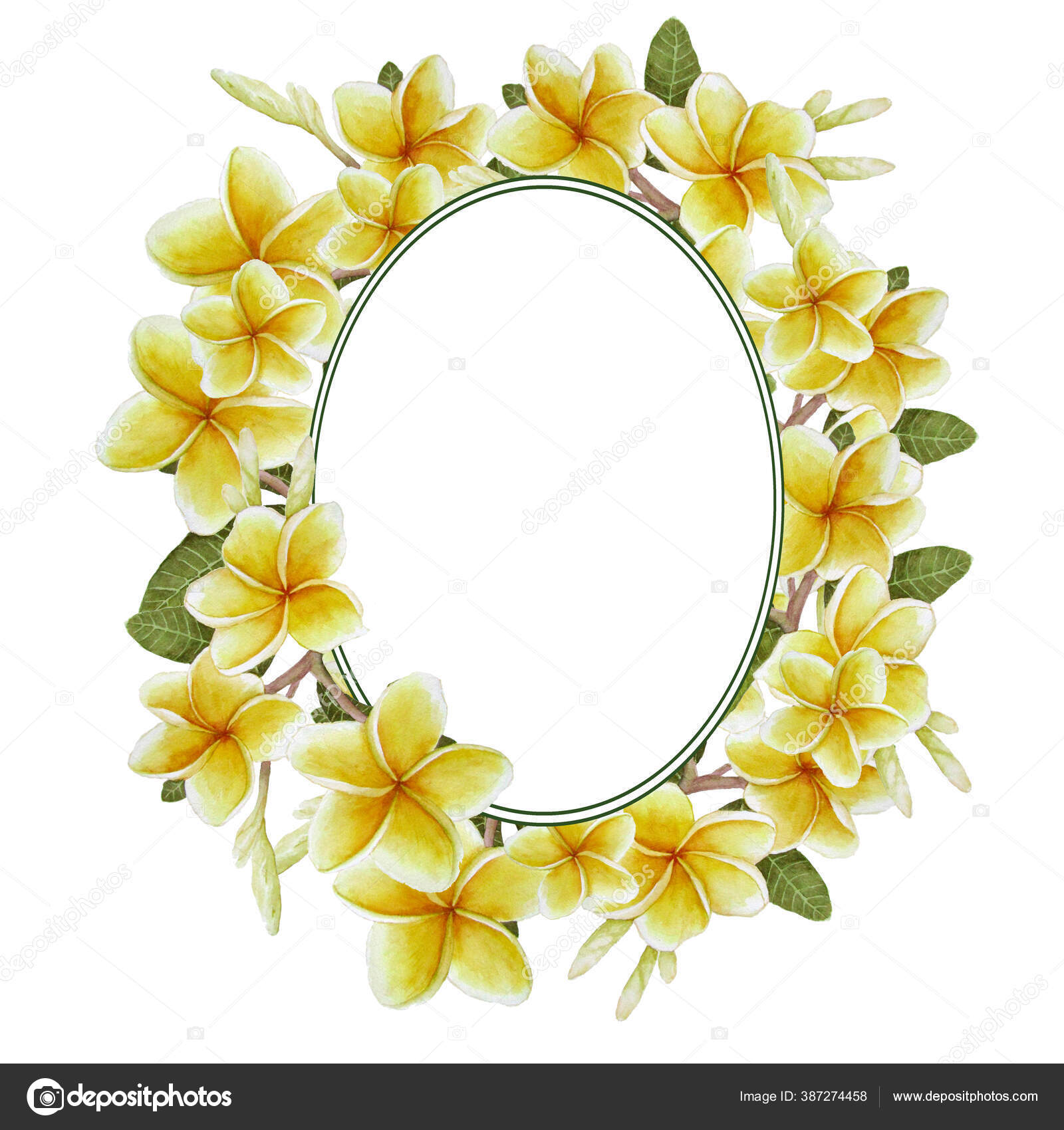 Plantilla de marco oval redonda acuarela dibujada a mano elemento de diseño  con exótica planta de, image size:1600x1700