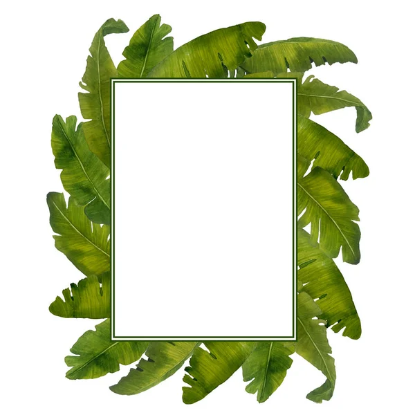 Acuarela dibujada a manomarco rectangular rectangular cuadrado. exuberantes hawaii tropical hojas exóticas de plátano verde bosque selvático silvestre tarjetas de ilustración boda diseño etiquetas botánico elementos florales —  Fotos de Stock