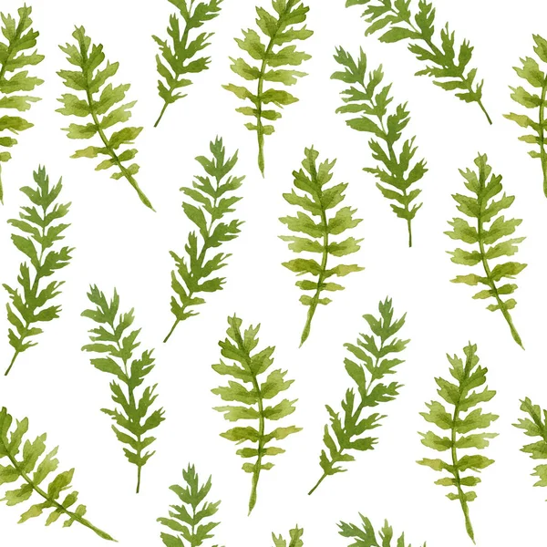 无缝手绘制的水彩图案与绿色野生草本植物在林地森林中的叶子。有机天然植物,花草植物设计用于墙纸、纺织品包装纸.复古 — 图库照片