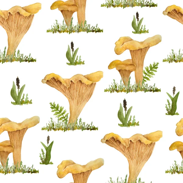 Ručně kreslené akvarel bezešvný vzor ilustrace chanterelle cibarius jedlé divoké houby houby. Pomerančově žlutá houba v lesní trávě. Přírodní rostliny příroda sklizeň hub — Stock fotografie