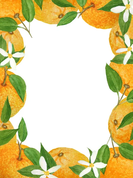 Watercolor desenhado à mão página moldura borda ilustração de tangerina laranja brilhante citrinos tangerina com folhas verdes vibrantes e flores. Para alimentos orgânicos menu rótulos vegetarianos. Desenho natural . — Fotografia de Stock