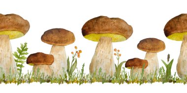 Elle çizilmiş suluboya, porcini, yenilebilir mantarın yatay sınır çizimi. Orman koruluğu saltanatı. Vahşi, çiğ, sağlıklı organik sindirim. Sonbahar yaz mantarı. Kral